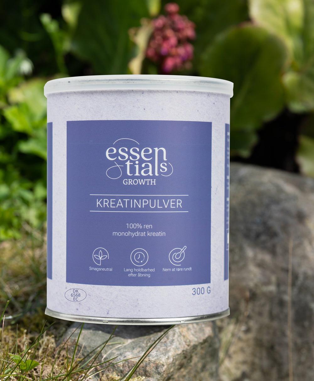Stor Beauty Pakken (1600 g)